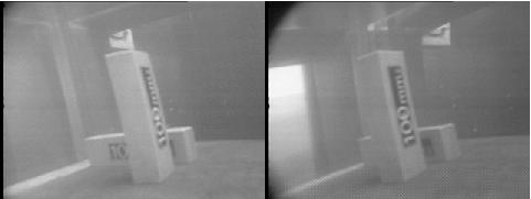 stereo pair